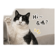 838699992