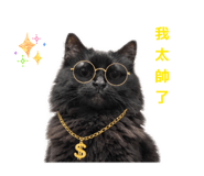 838700320