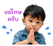 838700558