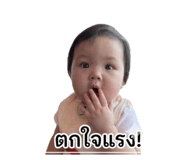 838702651