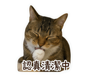 838704011