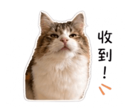 838704177