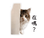 838704179