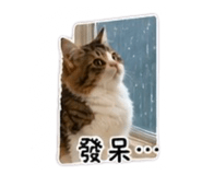 838704200