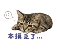 838704310