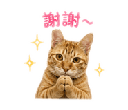 838704339