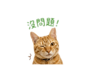 838704340
