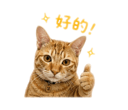 838704341