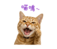 838704350