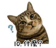 838704402