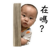 838705161