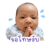 838706316