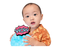 838706683
