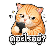 838707003