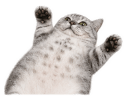 838707875