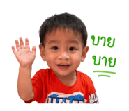 838708384