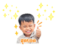 838708618