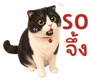 838708827