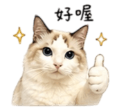 838709347