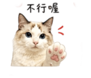 838709351