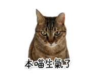 838709533