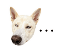 838709848
