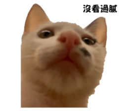 838710405