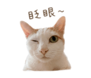 838711754