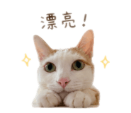 838711755
