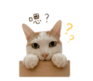 838711759