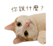 838711768