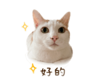 838711769