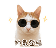 838711771