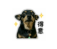 838712323