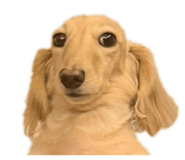 838712355