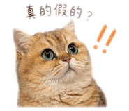 838712715