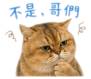 838712727