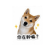 838713033
