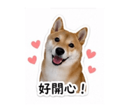 838713034