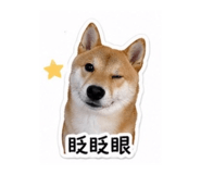 838713035