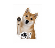 838713037