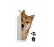 838713040
