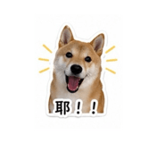 838713043