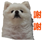 838713220