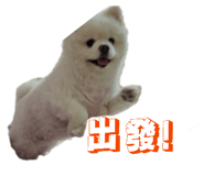 838713228