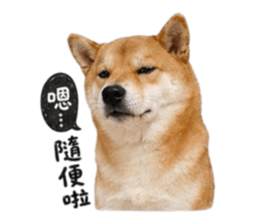 838713442