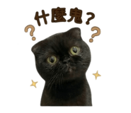 838713547