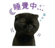 838713548