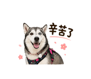 838714322