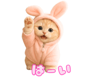 838717240